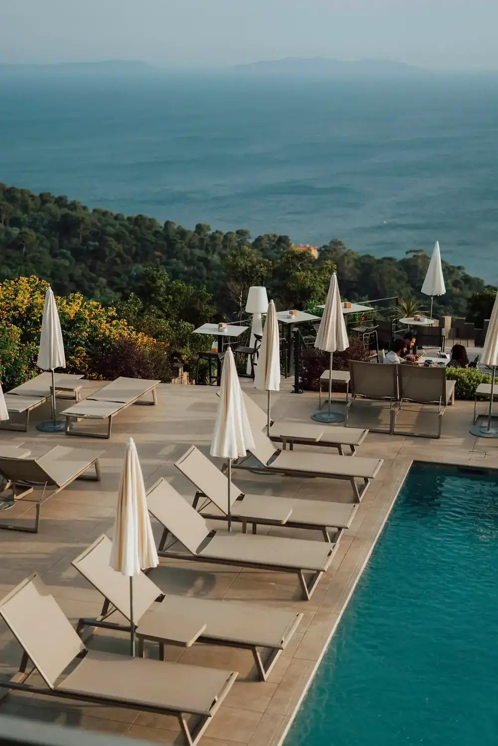 Terrasse de piscine dominant la mer, bordée de pins parasols